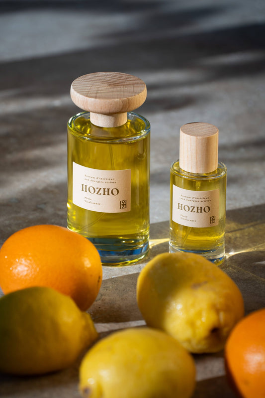 Pluie Vitalisante Hozho Paris Hozho Paris